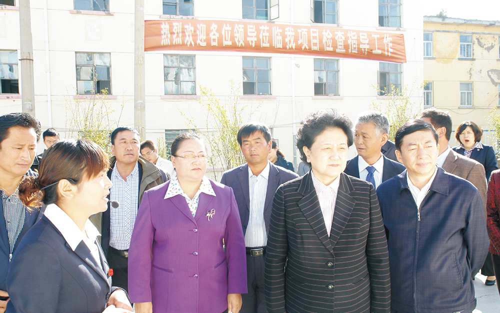 时任中央政治局委员，，，国务院副总理、党组成员刘延东视察湖北J9国际站集团青海项目部