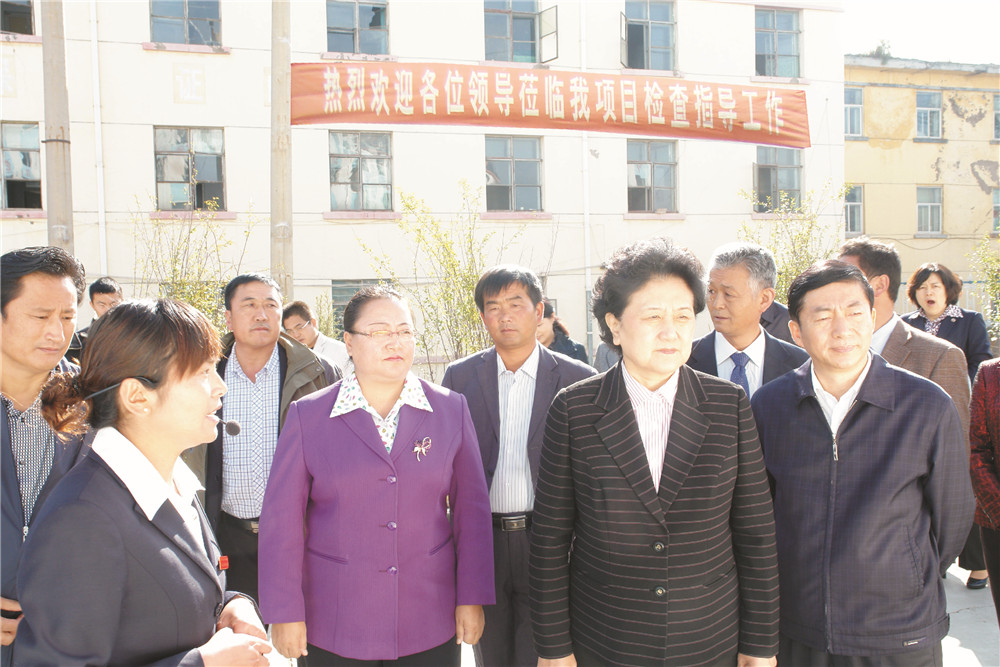4中央政治局委员，，，，国务院副总理、党组成员刘延东视察湖北J9国际站集团青海项目部 